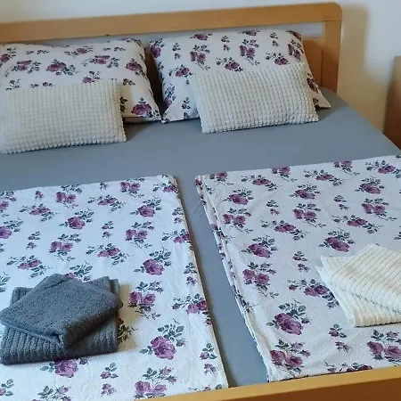 Branka Apartment *